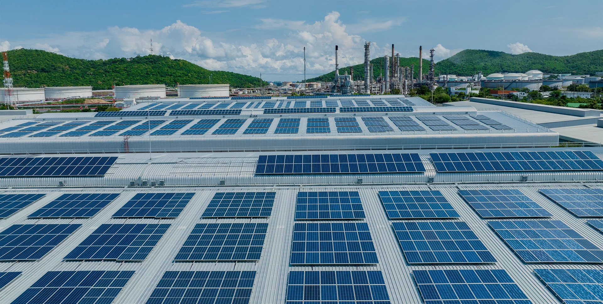 运用精准的数据洞察与AI，将节能减碳的行动，转化为看得见的回报。